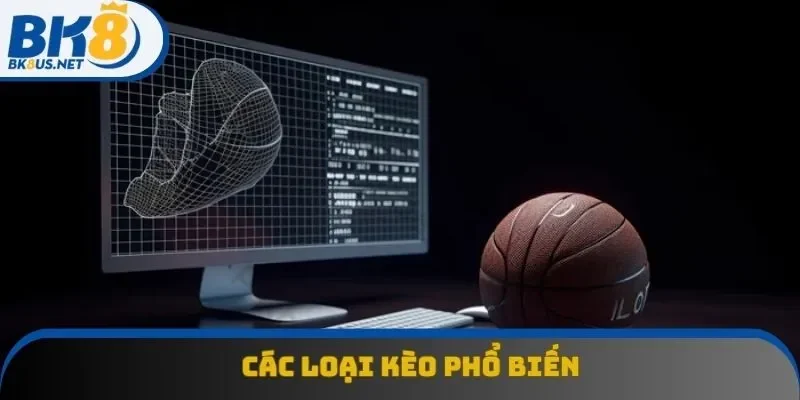 Các tỷ lệ kèo phổ biến, thịnh hành nhất trong cá độ b-ball Các tỷ lệ kèo phổ biến, thịnh hành nhất trong cá độ b-ball