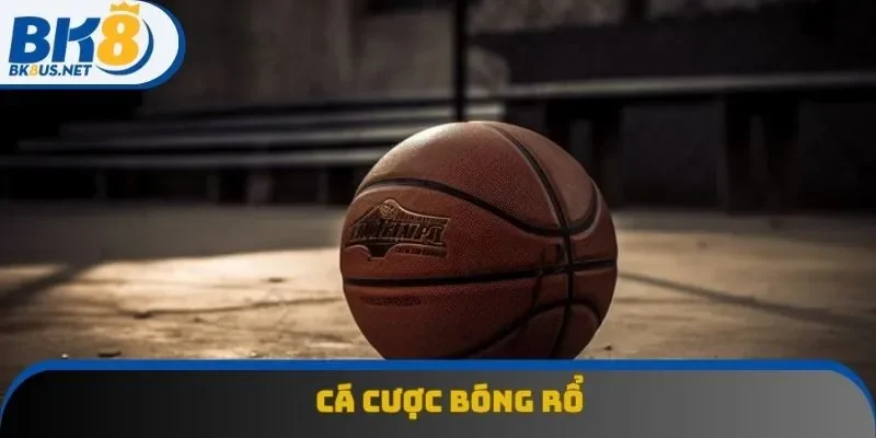 Cá Cược Bóng Rổ - Hướng Dẫn Chi Tiết Từ A-Z Cho Tân Thủ