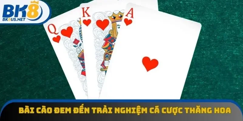 Bài cào đem đến trải nghiệm cá cược thăng hoa