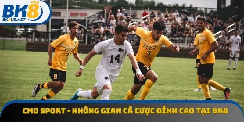 CMD Sport - Không Gian Cá Cược Thể Thao Đỉnh Cao Tại BK8