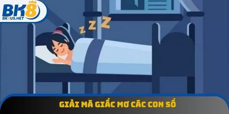 Điểm qua các con số may mắn khi giải mã Điểm qua các con số may mắn khi giải mã