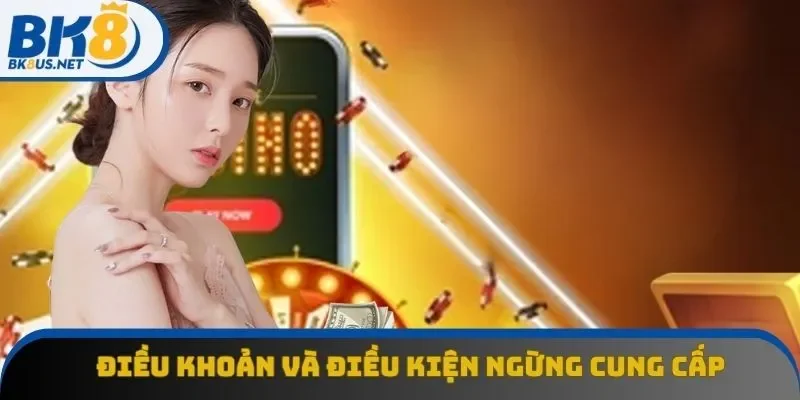 Những quy định về ngừng cung cấp