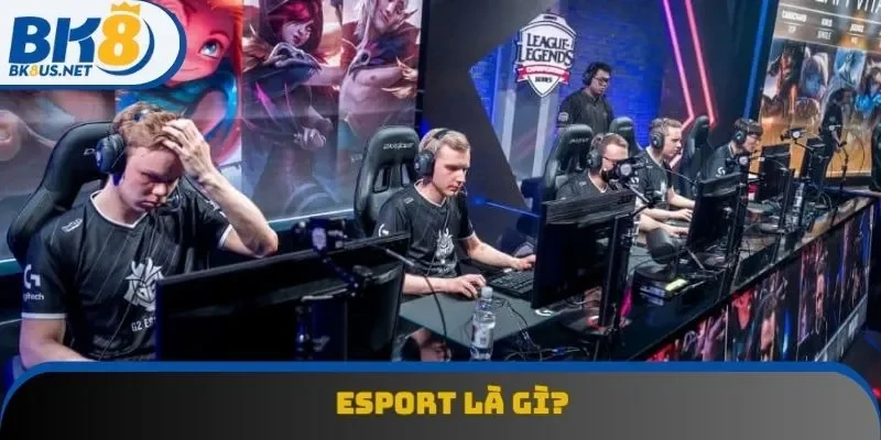 Esport Là Gì? Tất Tần Tật Về Bộ Môn Thể Thao Điện Tử