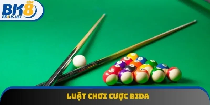 Luật Chơi Cược Bida | Bỏ Túi Những Khái Niệm Cơ Bản
