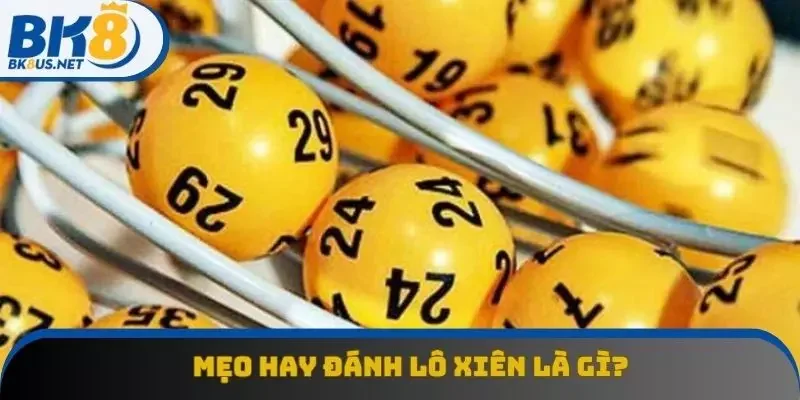 Mẹo hay chơi lô xiên thu về thưởng khủng Mẹo hay chơi lô xiên thu về thưởng khủng