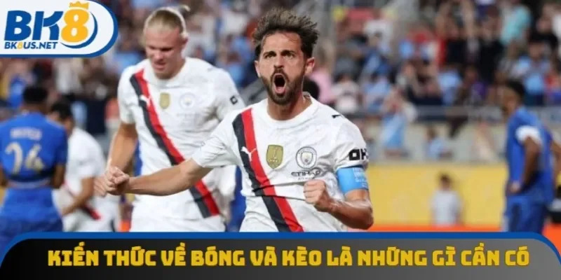 Kiến thức về bóng và kèo là những gì cần có Kiến thức về bóng và kèo là những gì cần có